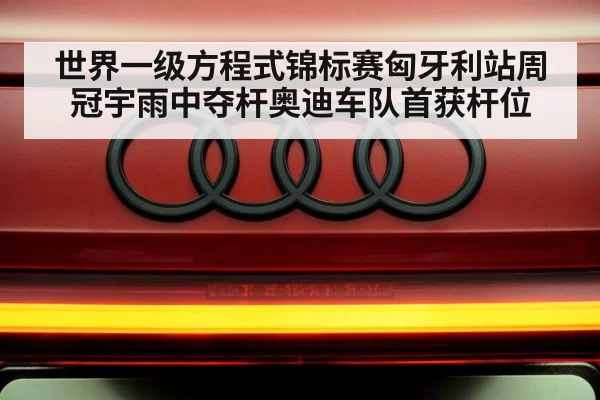 Audi F1 team